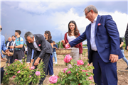 TRAKYA ÜNİVERSİTESİNDE “EDİRNE GÜLÜ”NÜN İLK HASADI YAPILDI