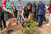 TRAKYA ÜNİVERSİTESİNDE “EDİRNE GÜLÜ”NÜN İLK HASADI YAPILDI